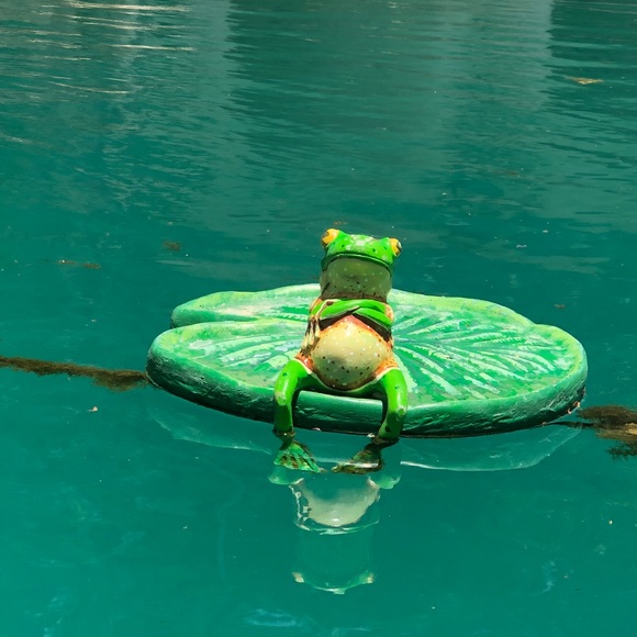 Meet your Posher, Carlos - Picture 1 of 1